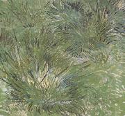 Vincent Van Gogh Clumps of Grass (nn04) Sweden oil painting artist